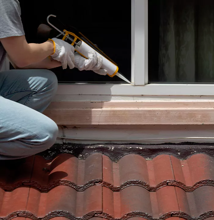 Roof Window Services in Sanford, Florida