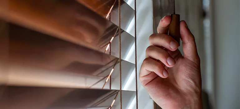 Double Roller Blinds in Sanford, FL