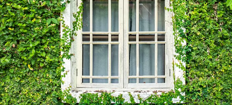 Garden Window Repair Near Me in Sanford, FL