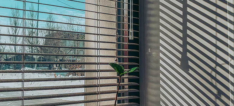Commercial Window Blinds in Sanford, FL