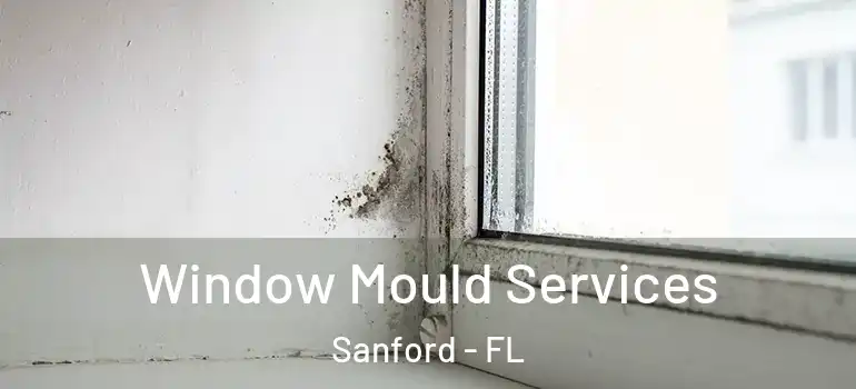  Window Mould Services Sanford - FL